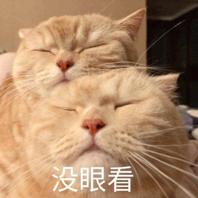 没眼看