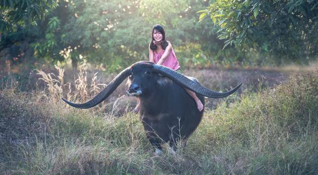问题|?张杰彬:如何驾驭大咖?附上《大咖驾驭指南》