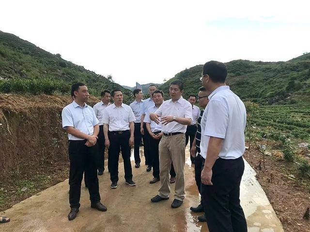 阳新排市人口_阳新高速规划图(2)
