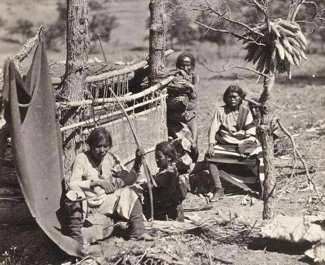 屠杀|从毛皮贸易中获利的印第安人，为什么反而走向了被屠杀的悲剧