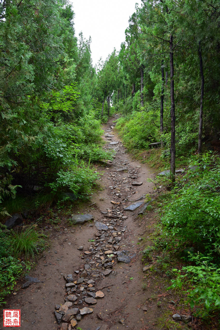 营盘|在新密的山梁上 邂逅2500年前的魏长城