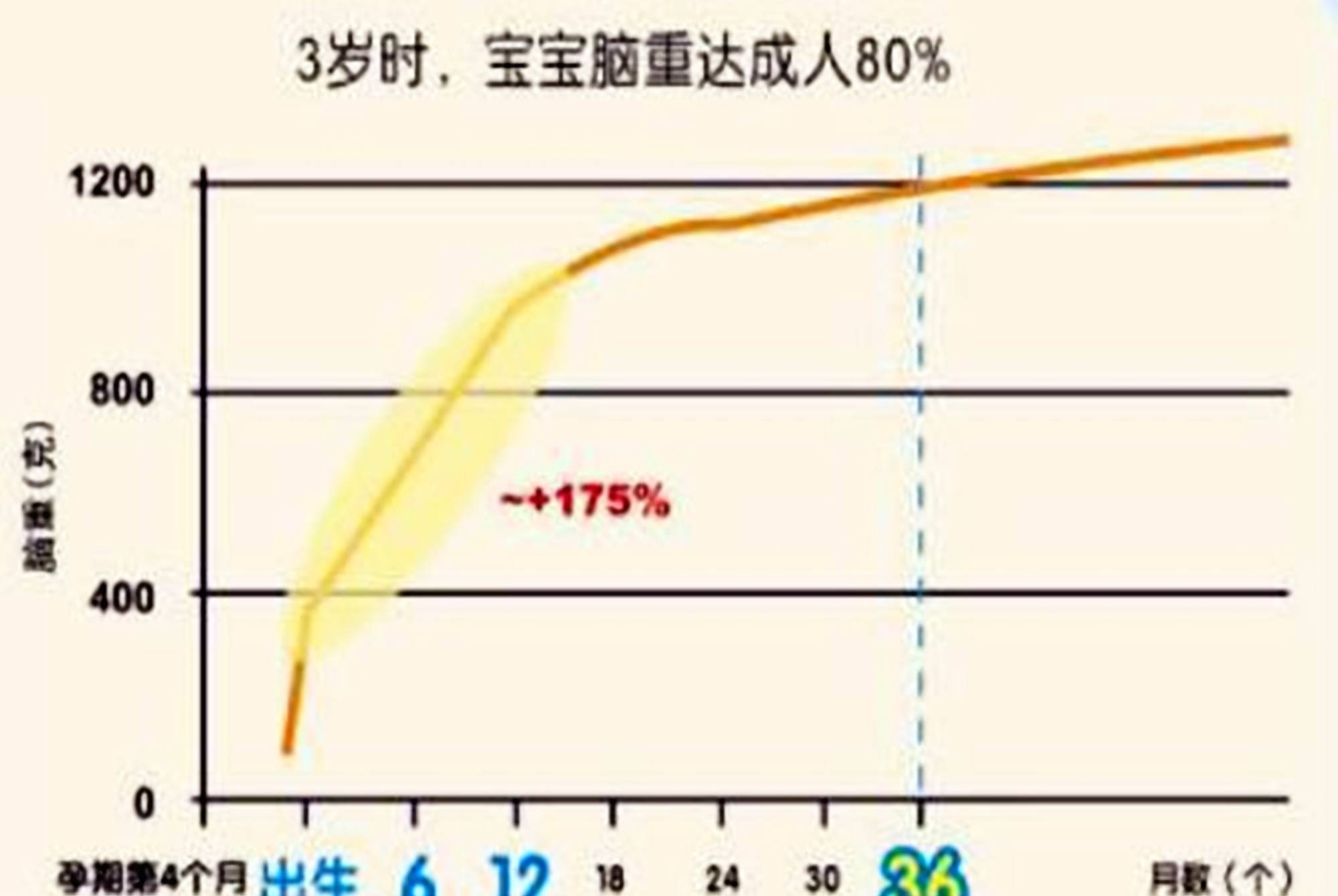 大脑|哈佛研究指出：孩子有三次大脑发育的高峰期，父母起码要抓住一次