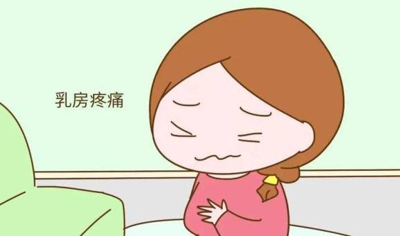 怀孕多久乳房会胀痛的感觉 2a20b50f07b84812b4f67f896311cb7e.jpeg