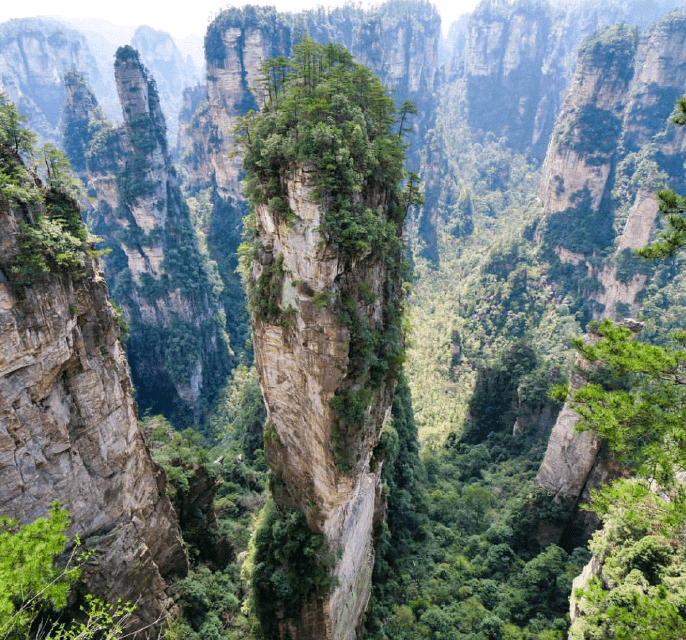 湖南张家界|跨省旅游已开启，张家界四日游怎么玩最合适？张家界秦阿妹介绍
