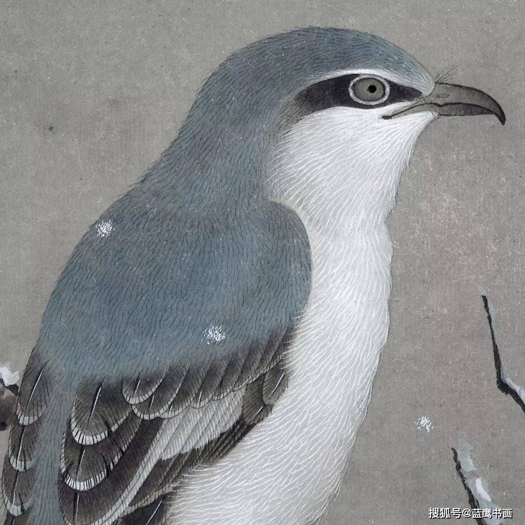 笔墨|三幅临摹的宋朝工笔图，逼真好看，笔墨巧妙精致