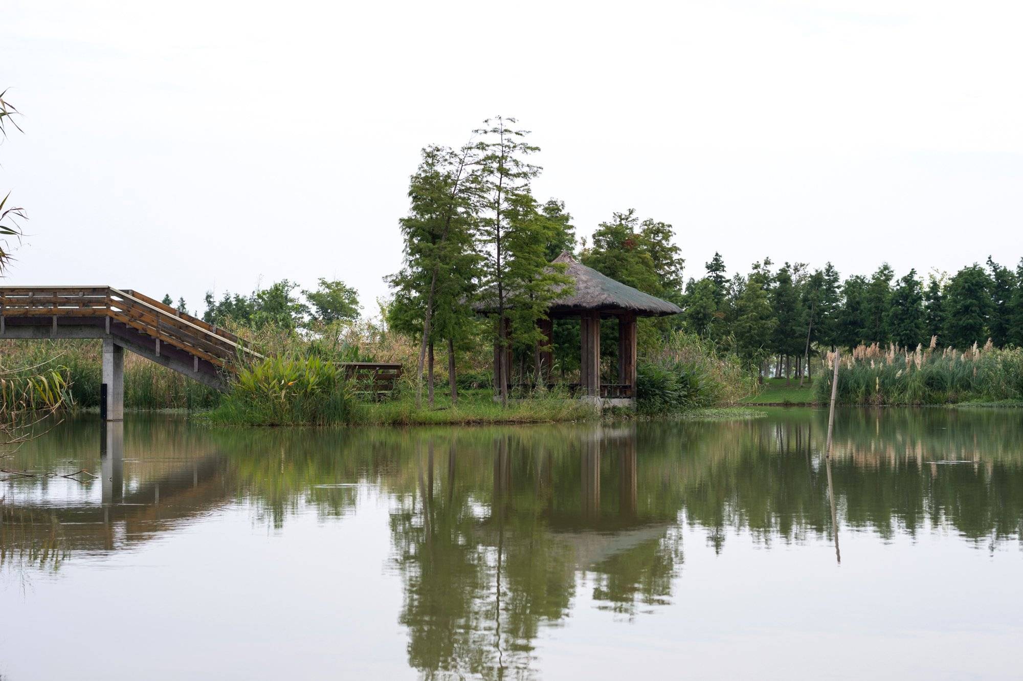 原创南京的后花园固城湖水慢城,不仅风景秀美,还有一座湿地动物园