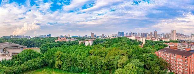 分数线|武汉七所211大学预估录取分数线出炉！其中一所可查高考录取结果