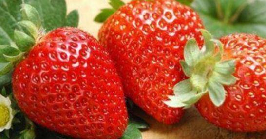 八个月宝宝可以吃草莓吗 db804c60481b4671bbf0701bd256a353.jpeg