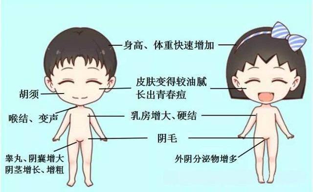 身高|还能不能长高？15岁男生身高才1.61米就开始发育了