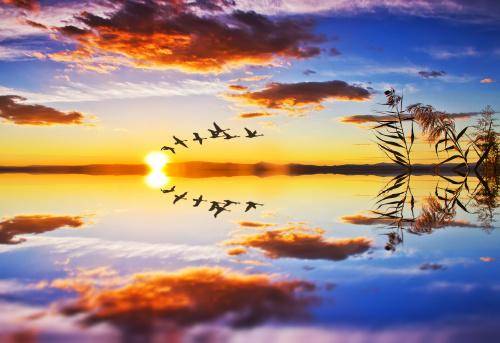 
循环的意义是什么？‘xc sports’(图1)