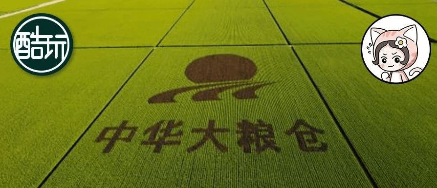 中国饥饿人口 2019_中国人口饥饿图片(3)