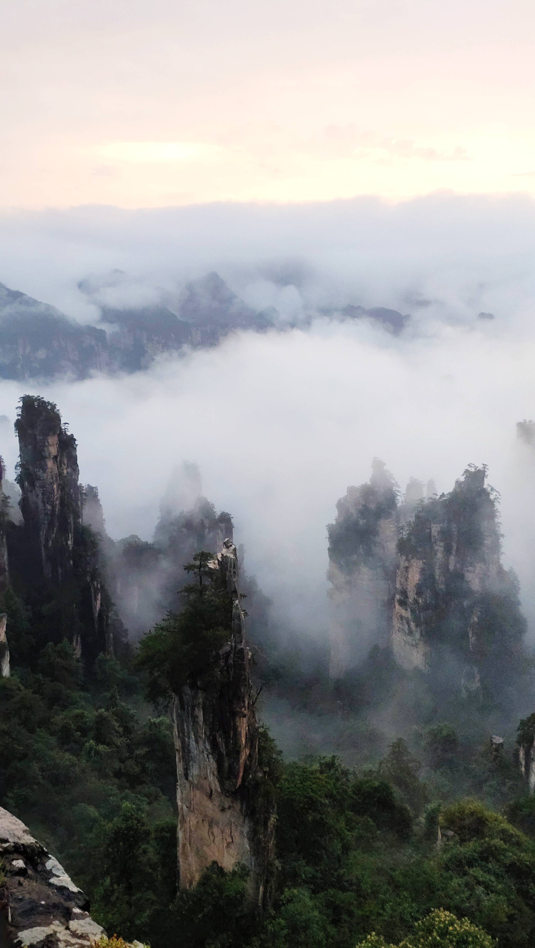 张家界武陵源立秋后天子山首场云海如仙境