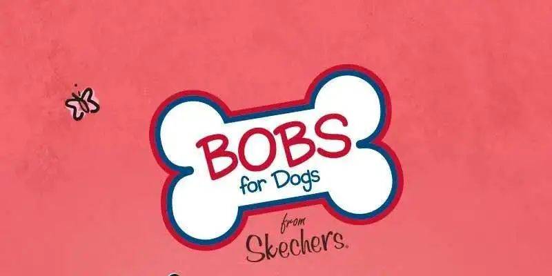 设计|大牌入驻 | IT'S YOUR SKECHERS!