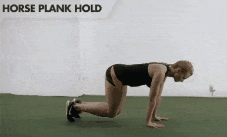1a49af41040440a3aa239a62a19c3adc.gif