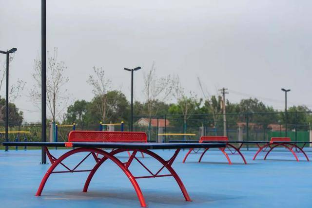 教育|名师云集！东营这所学校火了……