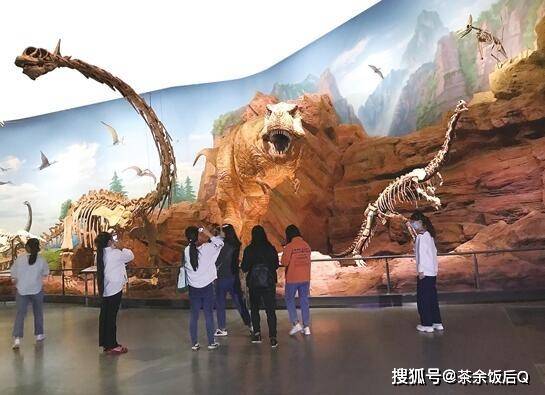 云南澄江化石地自然博物馆开馆 约起来与寒武纪"面对面"