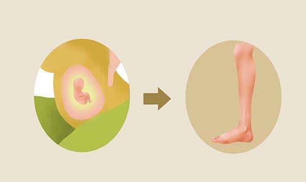 女性怀孕多久不来月经 2d990f294568404caf6880b9c1073067.jpeg