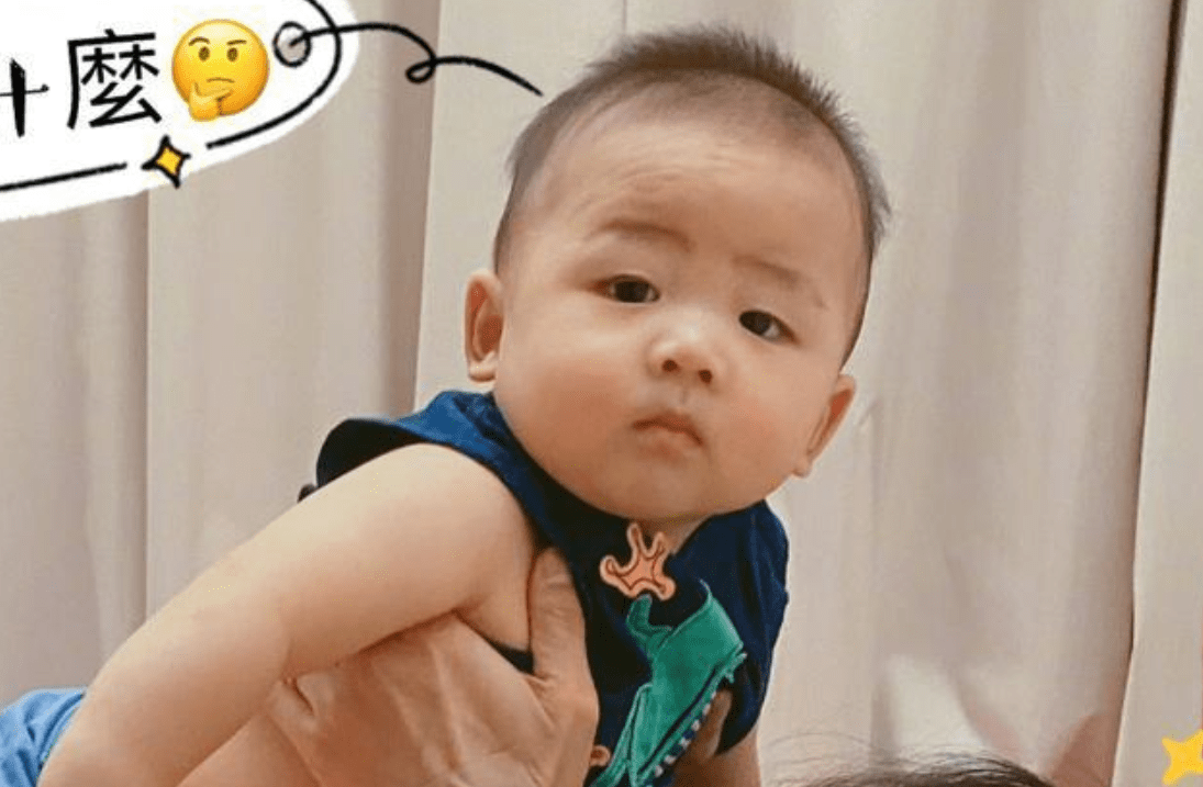 原创张晋与儿子东北话互动，乐儿已能独自站立，豪宅庭院曝光如植物园