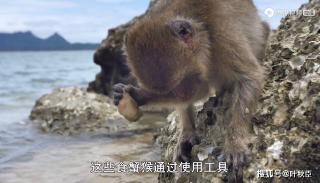 真的有人可以和动物交流吗 276f5937085c4b6a9a97c654d867fb98.jpeg