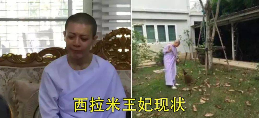 不算数|王室也能“打白条”，白纸黑字都不算数，西拉米签字后音信杳无