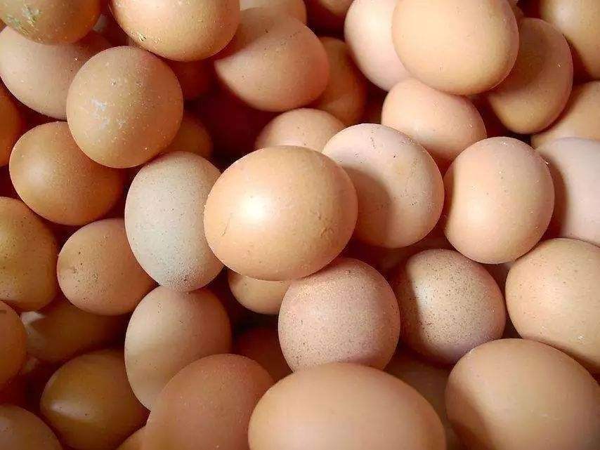 鸡下的蛋是软的怎么办