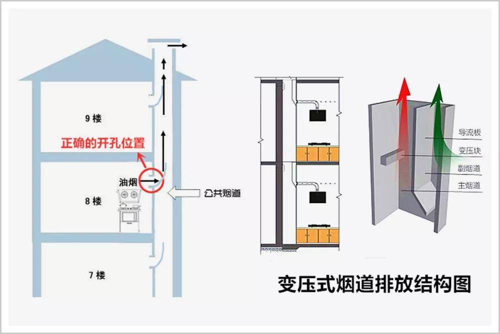 集成|过去一年，10万中国家庭厨房里出现了一个新物种