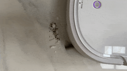 机器人|Narwal云鲸拖地机器人：科技江湖的“扫地僧”究竟有多强大？