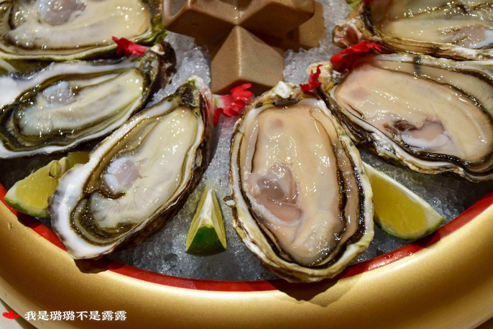 沈阳蚝友汇人均消费_沈阳兰爵名仕汇消费(3)