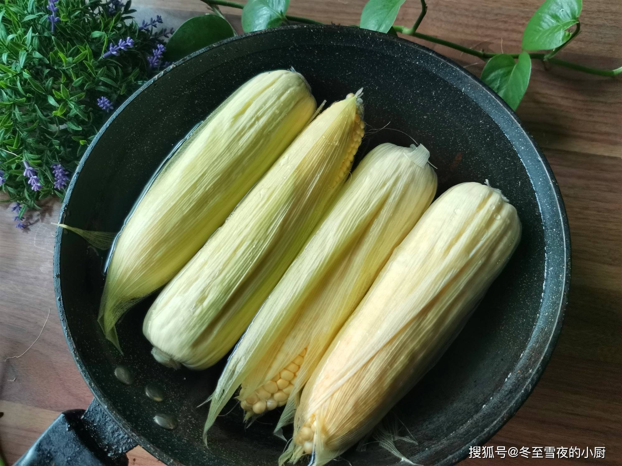 技巧|煮时加入1勺它，玉米熟得快、营养吸收好煮苞米的实用小技巧