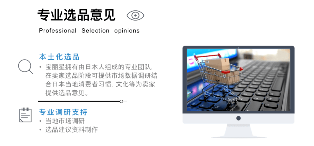 战略规划|宝丽星推进“双轨驱动”战略规划，深耕日本跨境电商运营服务