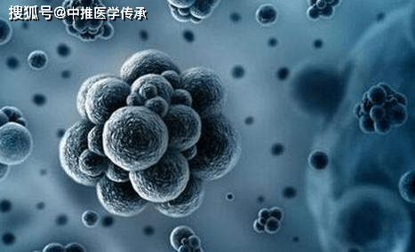 78f2ea653225402b8f8ee88b5d2c31c3.png
