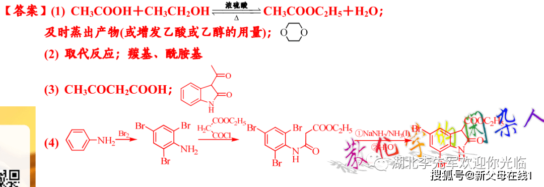 反应|特级教师答完高考山东卷并点评