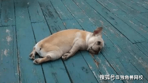 经验教程|留给你的时间不多啦！自制力差的同学很危险哦~