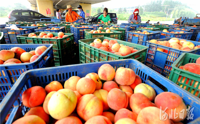 河北孟2020gdp_2020姓氏微信头像孟(2)