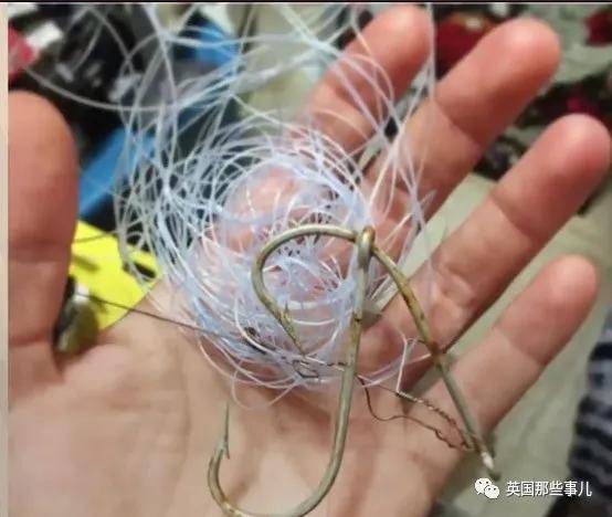 一个小举动,他跟一只野生虎鲨成了20年的好朋友