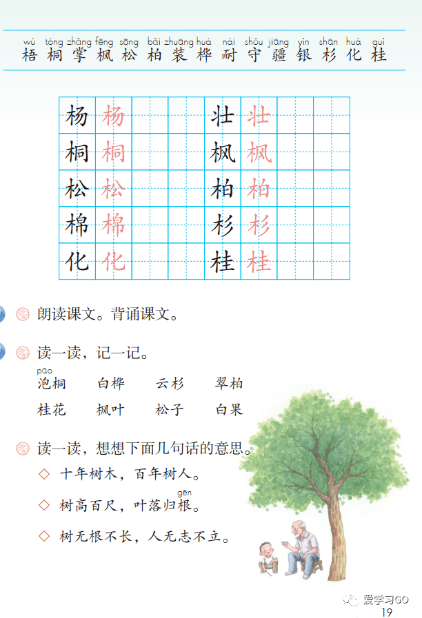 写:杨yáng(白杨,杨柳,杨树)壮zhuàng(壮士,强壮,壮丽)桐tóng(油桐