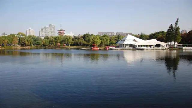 2020上海gdp人口面积_上海浦东gdp折线图(2)