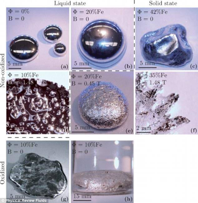 b7d090d5cf9248eb9ced3fc491fa2ed2.jpeg