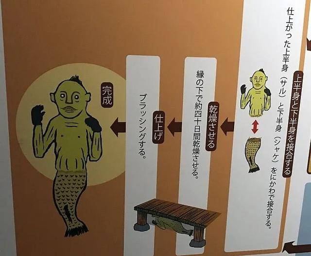 原创“与之淫，不言语，惟笑”的美人鱼，全世界都传说，真相就在日本