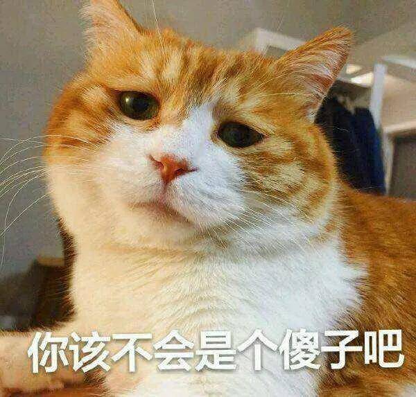 9c6e949b0f31440189cf29a44857b9bd.jpeg