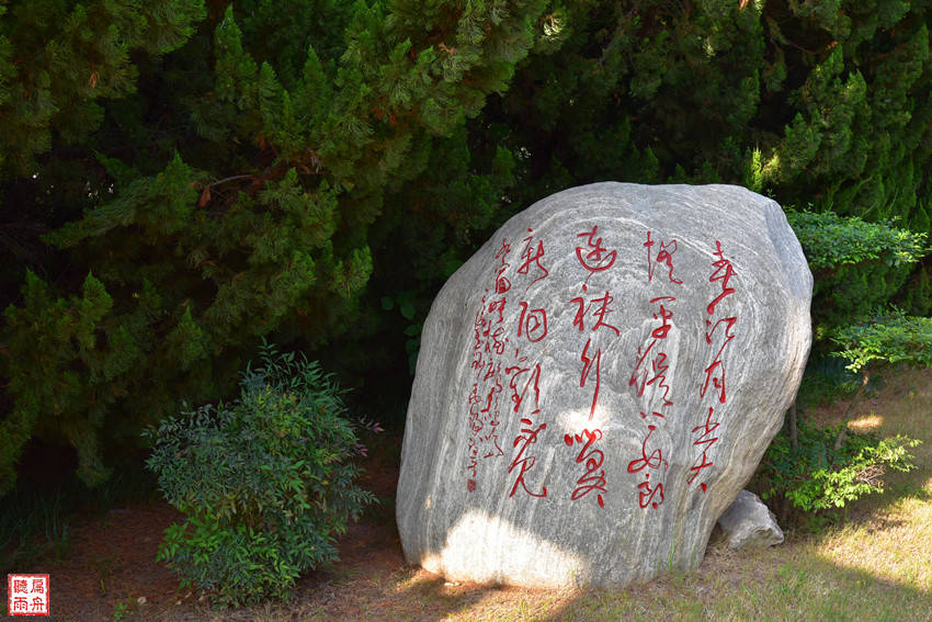 见闻记录|荥泽之阳 遥想刘禹锡与李商隐隔空对望