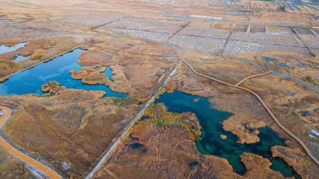 原创西北的大漠戈壁还藏着一个风景极美的湿地公园，知道的人极少！