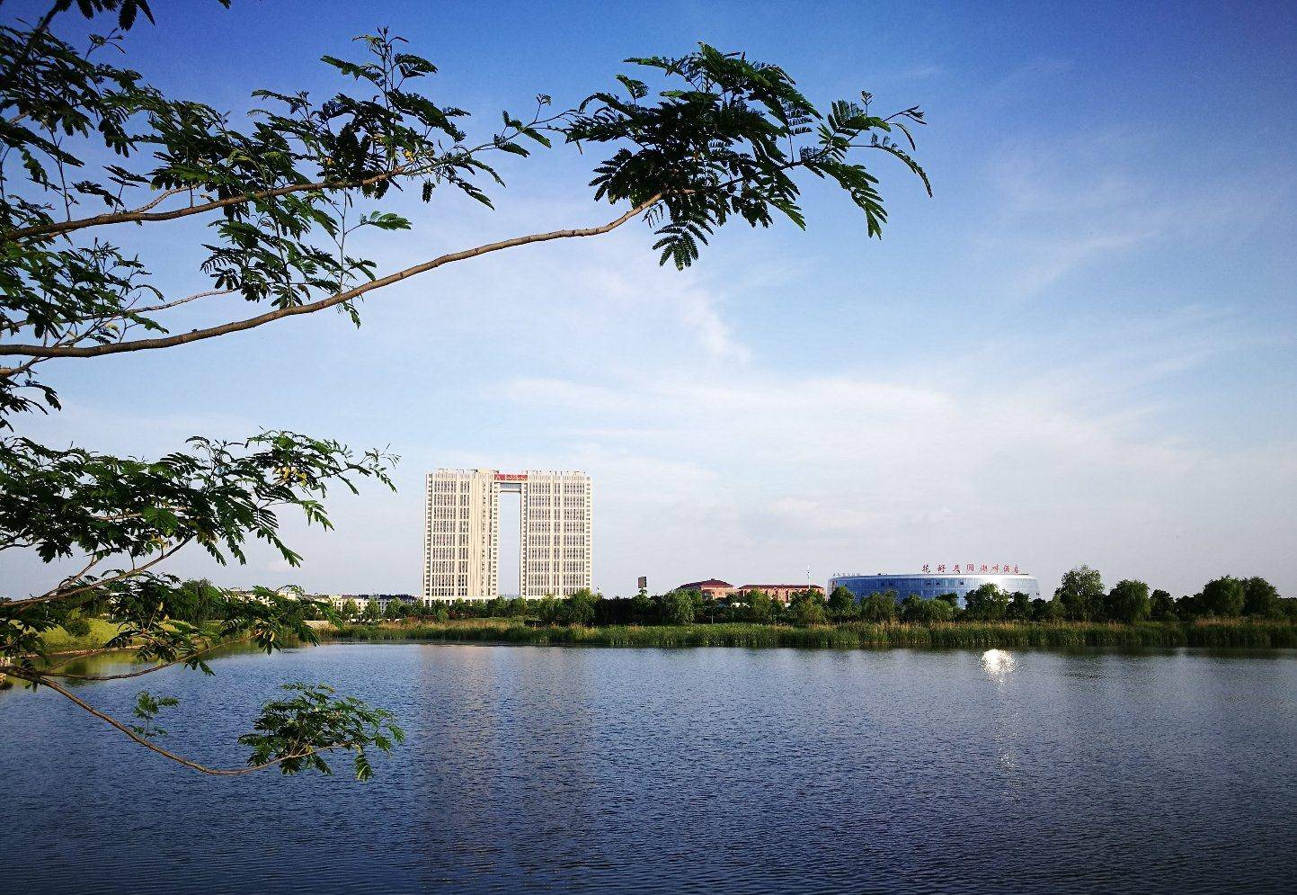 南京市经济总量不靠前_南京市地图(3)