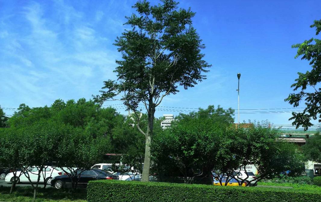 数学|“数学太难，想换个专业，来得及不？” “来得及！”