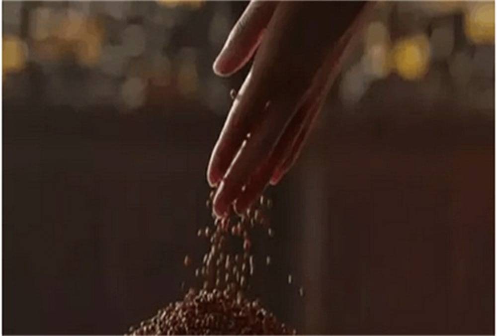 酿酒|酿酒工艺：白酒的香气与香型有什么关系？