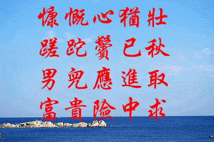 d89caed27d2d4a8eb47a209bf606dbd6.gif