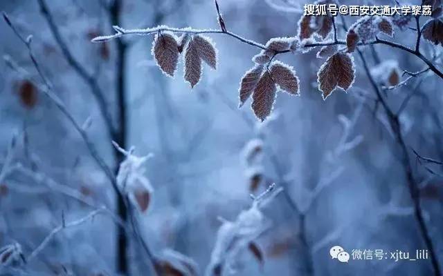 472d330523d8436682ec55fbff957681.jpeg