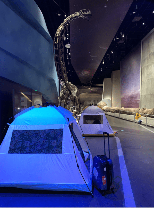 视频|博物馆奇妙夜，真的很帅！