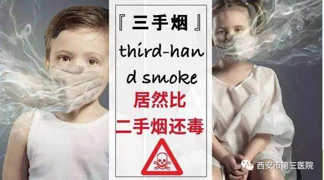 b8a3a01349b04f338f85fcbbc64e008f.jpeg