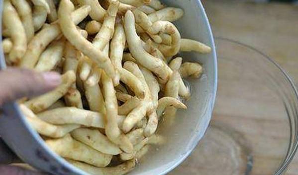 子姜怎么种出来的 195af7e0877441079505e2038982d048.jpeg